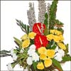 Full of Smiles - Click here to View more details about this Product